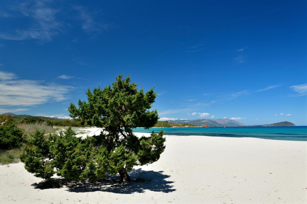 Casa Vacanze Il Mirto バリ・サルド エクステリア 写真